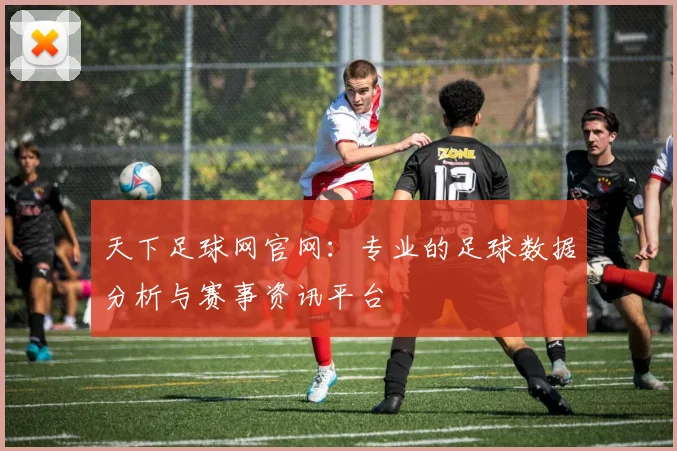 天下足球网官网：专业的足球数据分析与赛事资讯平台