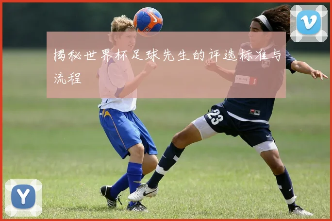 揭秘世界杯足球先生的评选标准与流程